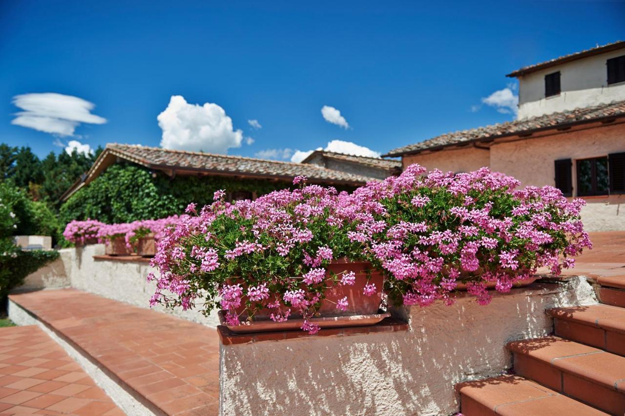 Colle Val D'Elsa - Agriturismo Bardeggiano Esterno foto